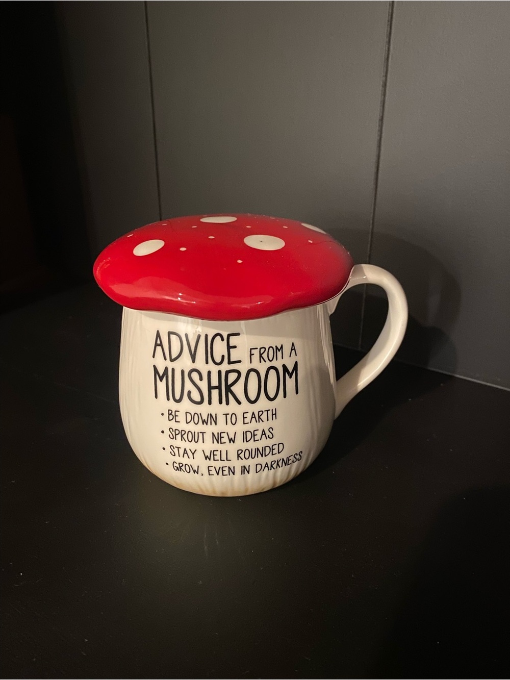 Mushroom Advice Ceramic Mug with Red Lid